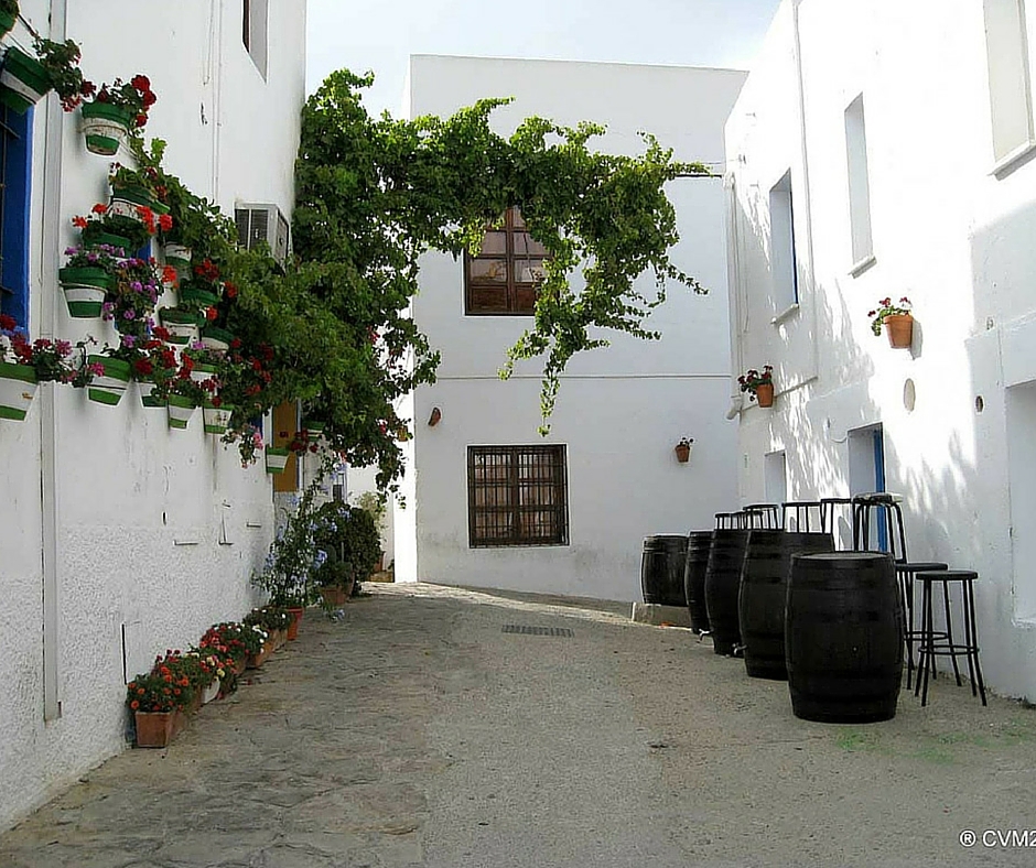 Mojacar is situed in Almeria in Andalusia